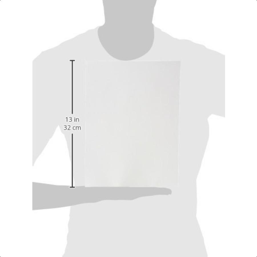 Sax Pen and Ink Sulphite Drawing Paper 80 lb 9 x 12 Inches White 100 Sheets