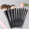 AME - Set of 10: Makeup Brush / Case / Set