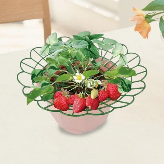 Jahodová kolébka Opakovaně použitelná podpora jahodové mříže Vložka do květináče Držák na jahody Zabraňuje hnilobě od země Dárek pro domácí zahradníky