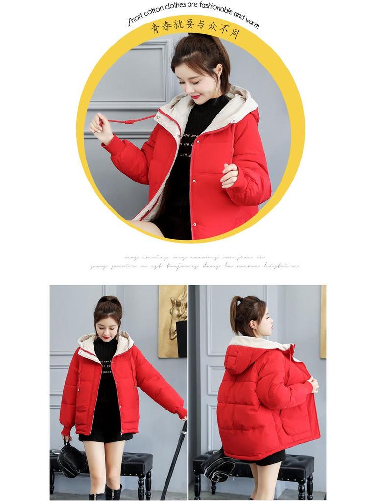 Women's Short Winter Down Cotton Coat 2023: Loose, Thickened, Plus Velvet, Korean Style