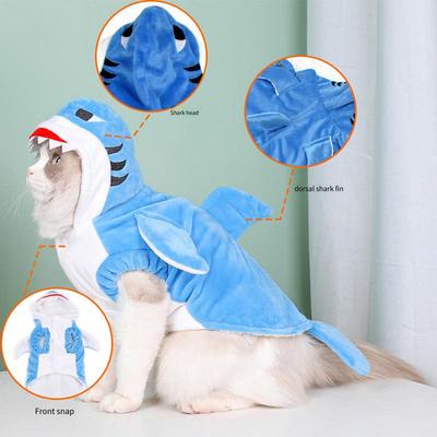 Kedi – Kediler için giyim