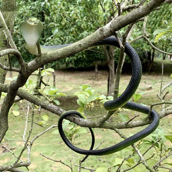 80CM Golf Snake Prank Leketøy Realistisk gummi Slange Modell Simulert Slange Erting Venner Vanskelige rekvisitter Barn Voksne Halloween Party Gag Gave