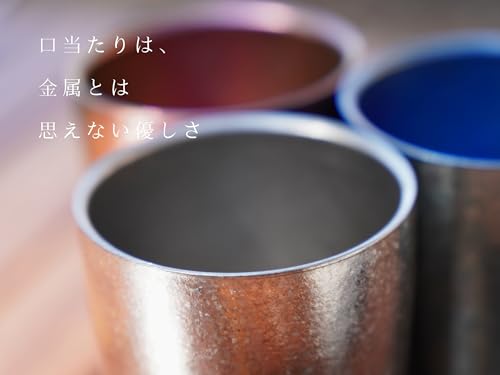 SEIDO Double-Walled Titanium Tumbler, Titanium Glass, Premium Gift, Dishwasher Safe, 300ml (Silver)