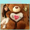 Animal Stuffed Hugging Teddy Bear Doll Birthday Gift For Girl Best Gift Friend
