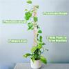 Plant Climbing Column Sphagnum Moss Pole Plants Growing Support Stand Water-Retaining Fertilizer-Rich Plant Extension Pole Stick