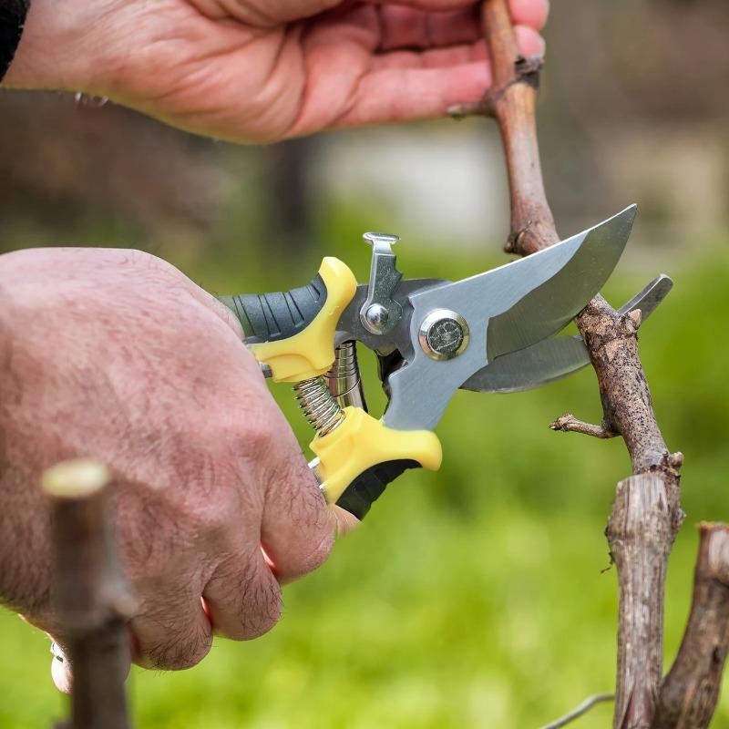 Professional Garden Scissors Stainless Steel Shears Bypass Pruning Tree Thick Branch Trimming Beak Scissors Sharp Hand Pruners