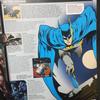 [USED] THE DC COMICS ENCYCLOPEDIA American comic encyclopedia English book