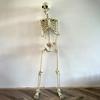 Halloween Huesos Realistas del Cuerpo Tamaño Real Esqueleto Humano con Articulaciones Posables Ornamento de Cráneo de Simulación Atrezzo de Terror para Casa Encantada
