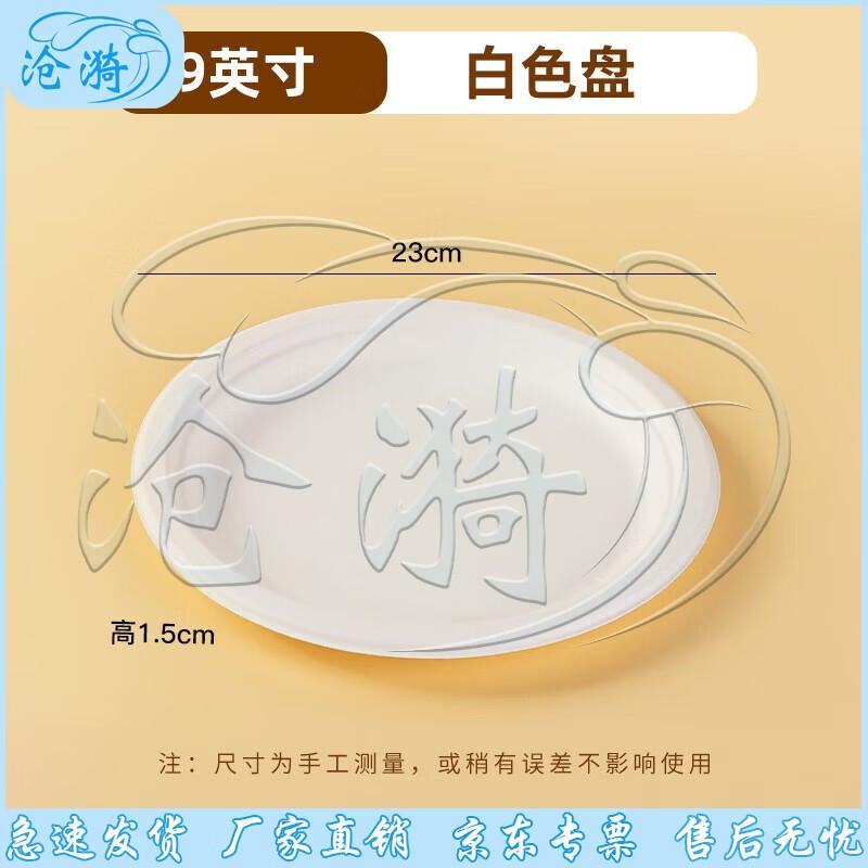 Cangyi Biodegradable Disposable Paper Plates (100-Pack)