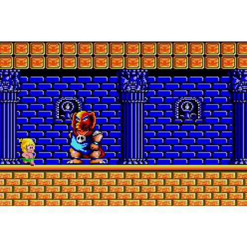 SW Version Wonder Boy Ultimate Collection Regular Version