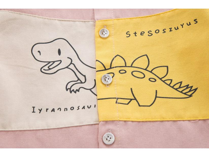 Korean-Style Autumn Dinosaur Shirt Set for Boys (Ages 0-4), Two-Piece Children's Outfit