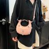 High-end niche bag women's spring 2025 new fashion shoulder messenger bag women's popular mini underarm bag
