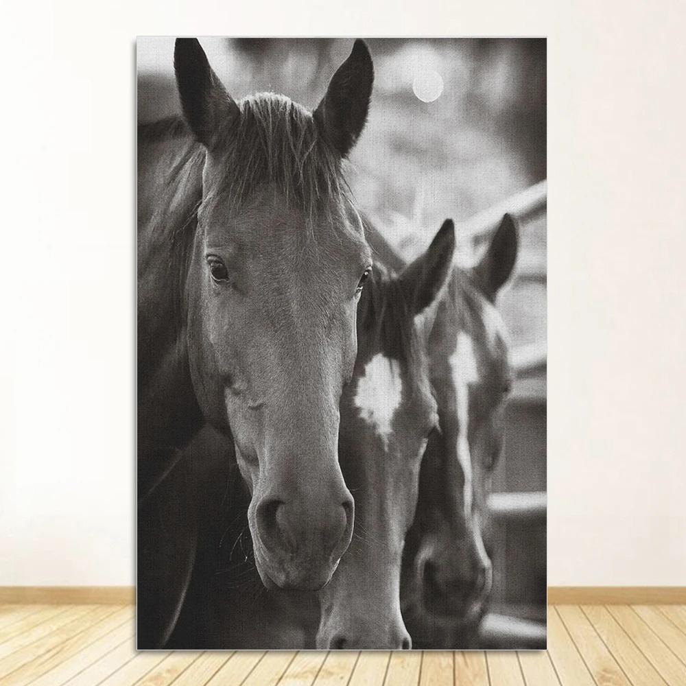 

Черно-белый портрет лошади, постер, печать на холсте, картина с изображением бегущих лошадей, настенное искусство, картина для декора комнаты в фермерском доме 20x30cm