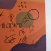 [USED] IZ*ONE All members autographed CD BLOOM*IZ