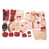 Injury Simulation & Makeup Kit