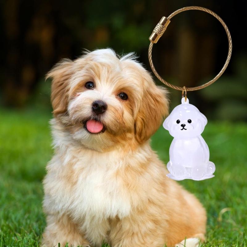 Elegante Chaveiro Memorial para Perda de Animal de Estimação Apresenta Compartimento Visível para Armazenamento de Pelos e Chaveiro Durável para Caixa de Pelos de Animal de Estimação
