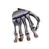 Women Ear Clip, Skeleton Claw Hand Snap-On Non-Pierced Ear Clip, Punk Dark Style Elastic Buckle Earring for Daily Party Wear