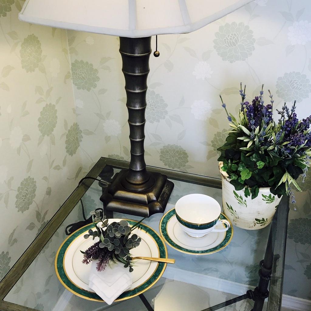 CANION WITS Vesuvio Teacup & Saucer, Western Design Tableware (Gifts, Home Use, Cafes, Restaurants, etc.) [Canyon Wits]