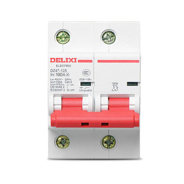DELIXI DZ47-125 100A/125A Type D Miniature Circuit Breaker for High Current