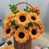 300pcs Nylon Iron Pipe Cleaners, Sunflower Bouquet Fluffy Stems, for DIY Craft Projects