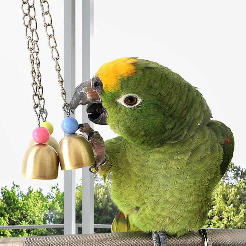 parrot bells