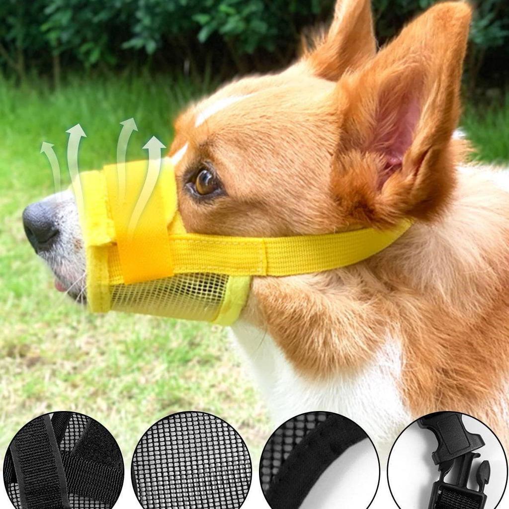 Adjustable Dog Muzzle - Anti-Bite, Anti-Bark, Drink-Friendly Pet Training Mask