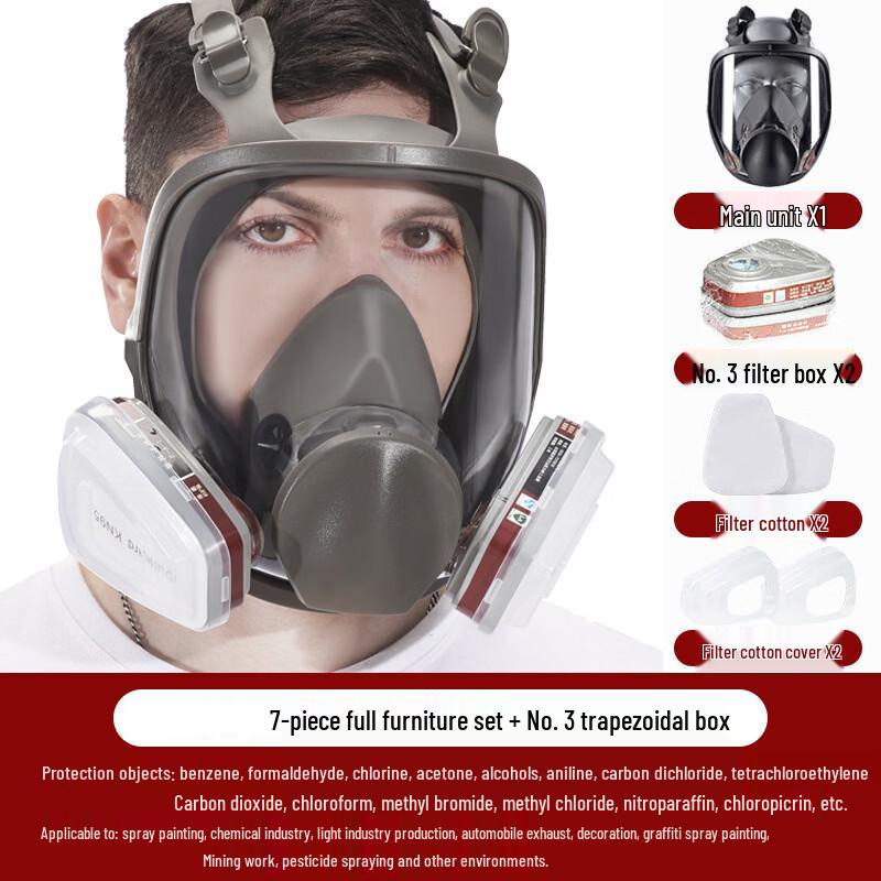 DAXTE Full Face Respirator Kit
