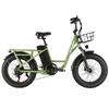 Bicicletta Elettrica Philodo T1 Ruota da 20" Motore da 750W Bicicletta Elettrica da Pendolarismo Urbano 48V 20Ah Freni a Disco Idraulici 7 Velocità Carico Massimo 150Kg