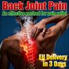 Back Joint Pain? Powerful Relief for Your Spine & Muscles