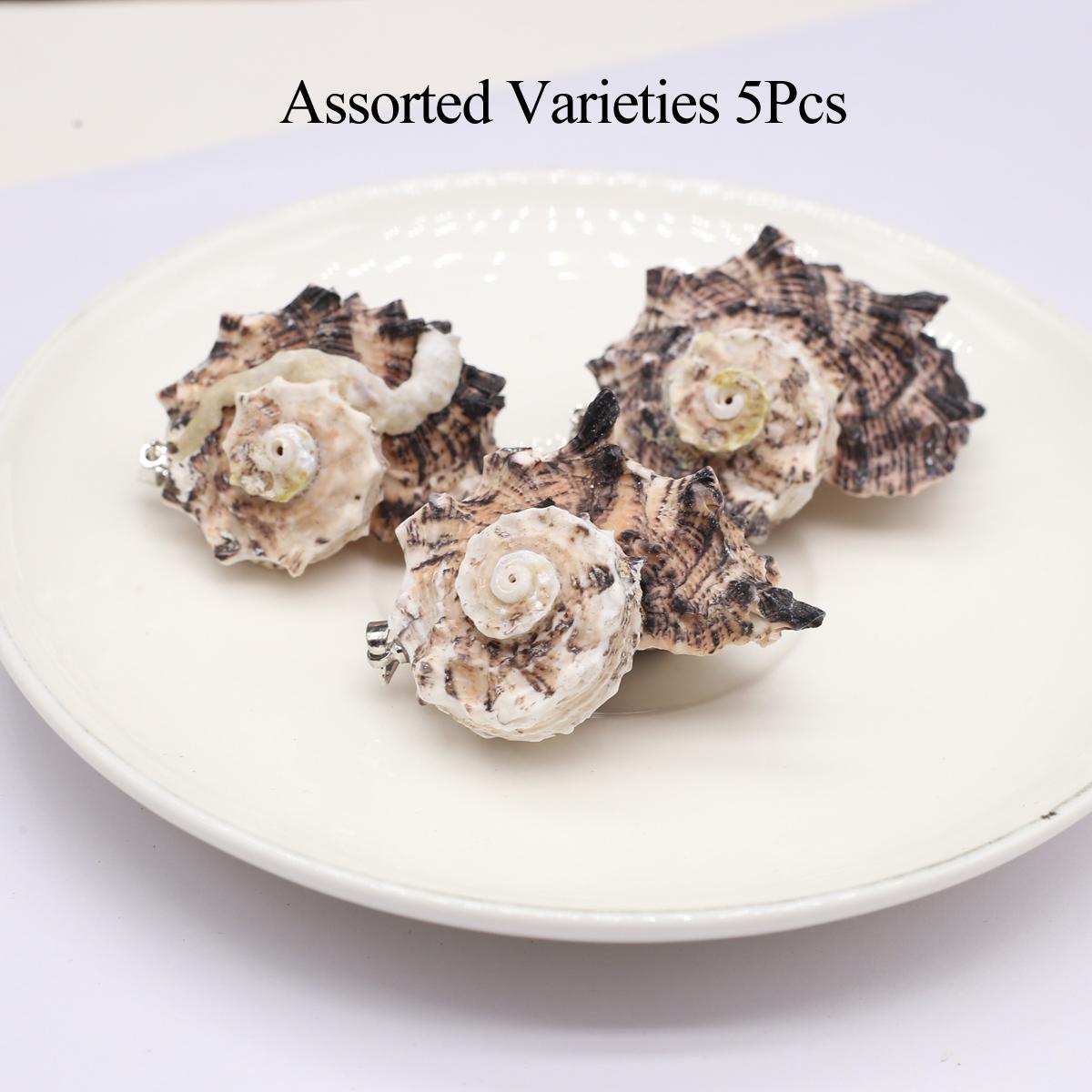 

5 шт., Летний морской стиль, Подвески-шармы из натуральных ракушек и рапанов, 2-4 см, для DIY аксессуаров для ожерелий, изготовления ювелирных изделий, пляжных поделок для досуга 5Pcs/20-40mm