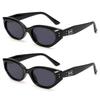 2 Pcs Korean Version Trendy Retro Cat Eye Sunglasses for Women Hip Hop Western Casual Simple Plain Outdoor  Glasses