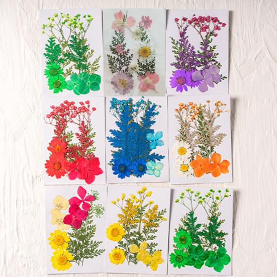 10 Pcs Pressed Dried Flowers Flat Real Dried Blooms All-Natural Colored Dried Flowers for DIY Crafts Scrapbooking Face Decoration