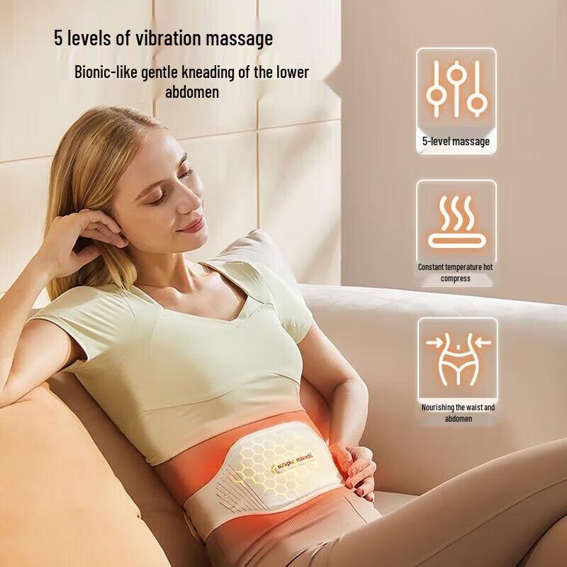 Morphyrichards Lumbar & Waist Massager