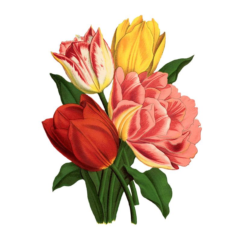 T308# Gorgeous Bouquet Wall Sticker Bathroom Toilet Decor Living Room Cabinet Refrigerator Home Decoration Decals