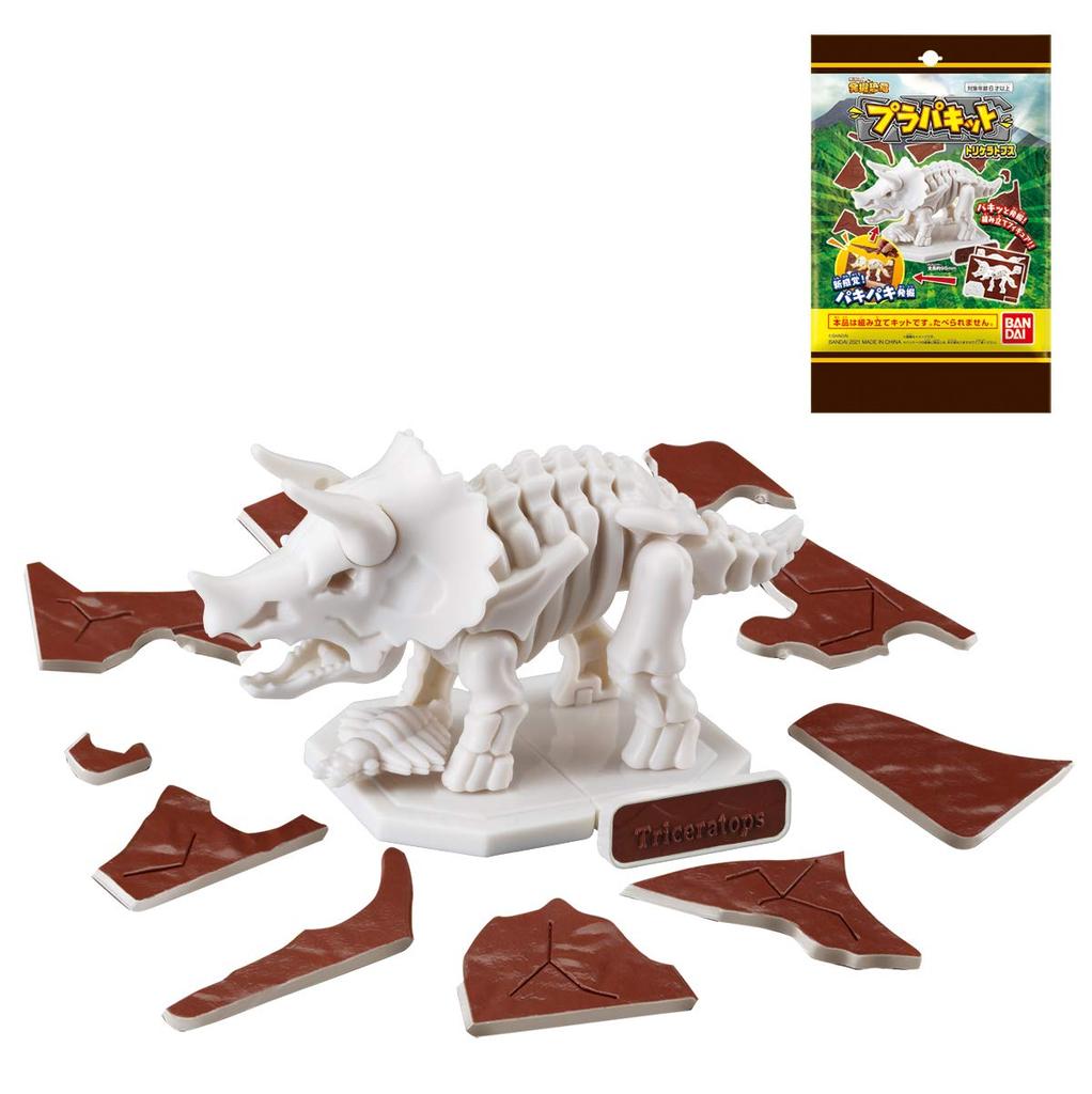 Charapaki Excavation Dinosaur Plastic Kit: Triceratops