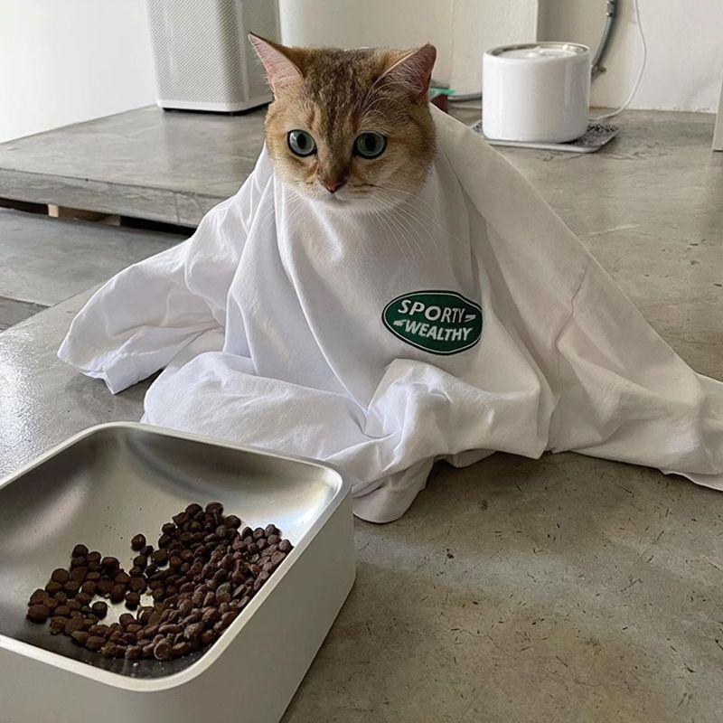 White Short-Sleeved T-shirt for Women 2025 New Arrival Summer Loose Pure Cotton Small Sports Style Pure Cotton