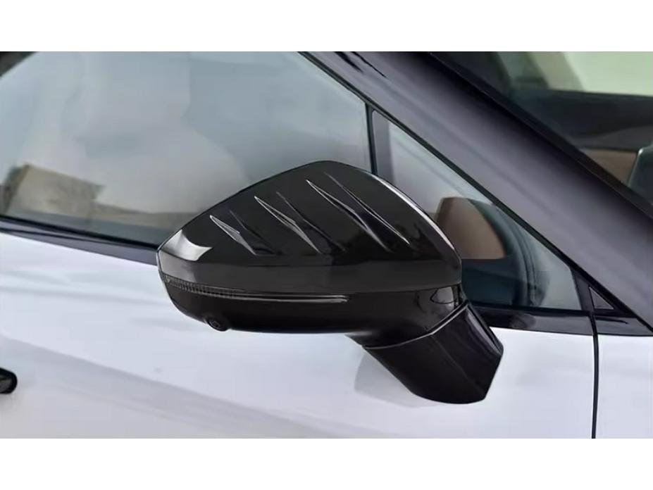 BYD 24 Song L-EV Rivestimento Griglia, Copri Specchietto, Scatola Elettrica, Maniglia Porta, Luci Fendinebbia