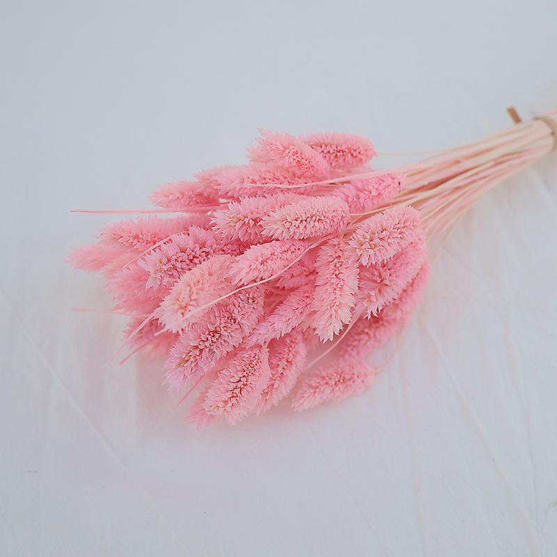 Natural Dried Statice Flower Bouquet - Everlasting Decoration for Vase & DIY Arrangements