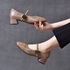 Mary Jane Shoes Women's Spring and Summer New Shallow Mouth Medium Heel Single Shoes Niche Personality Small Fresh Women