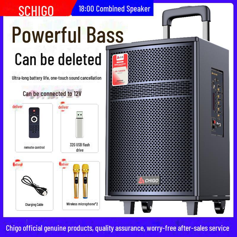 Chigo High-Power Outdoor Bluetooth Trolley Speaker for Music & Karaoke