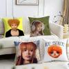 Singer I-Ice Spice Cushion Cover Reversible Plush Pillow Cover – For Car, Sofa, Bedroom, Perfect As a Gift.