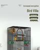 Large Parrot & Bird Cage for Budgies, Peonies, Wrens, Starlings & More