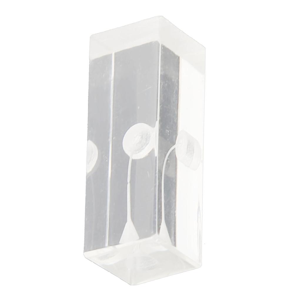 Root Canal Exercise Block Acrylic Transparent Clear Display Curved Oral Endodontic Root Model