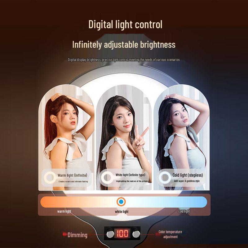 LED Live Streaming Selfie Light: Desktop & Floor Standing