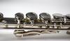 Kaerntner Flute KFL-25