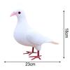 Slight Batch Variation Realistic Pigeon Foam Pigeon