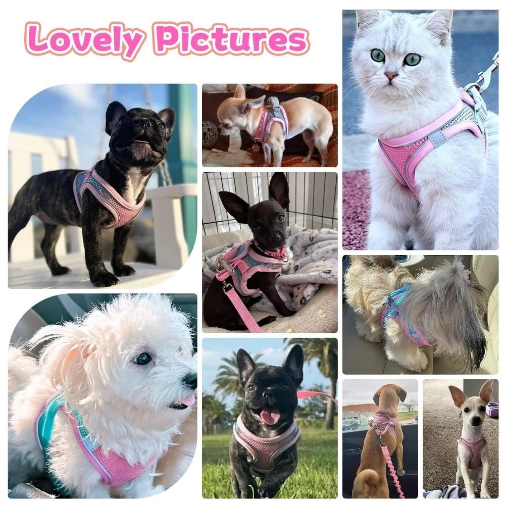 Adjustable Cat Harness Vest Reflective Pet Collar Harness Practical Dog Chest Strap  Pet Training