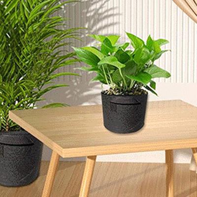 Plant Pot Reusable Multifunctional Brthable Plants Grow Bag with Handle for Pond
