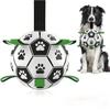 Interactive Dog Soccer Toy with A Grip Ring Durable Pool Water Ball