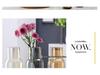 Transparent Minimalist Glass Vase for Office Decoration with Fresh or Dried Flowers